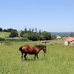 Alto Da Pena Exclusive For Pilgrims Hostel Negreira