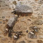 Alto Da Pena Exclusive For Pilgrims Negreira