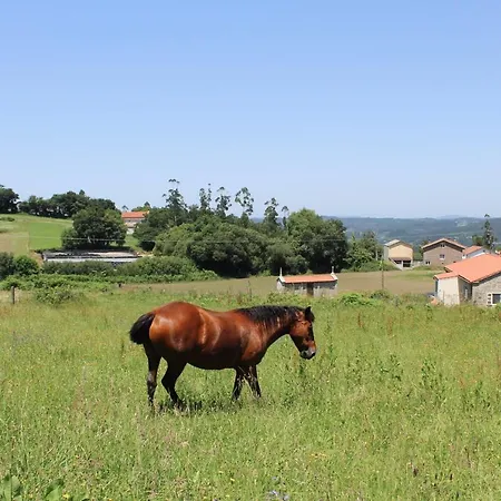 Alto Da Pena Exclusive For Pilgrims Hostel Negreira